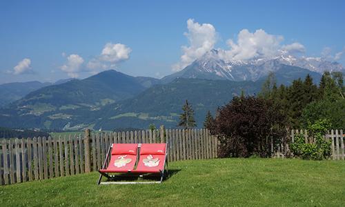 Brotzeitalm Apartment Pfarrwerfen Bagian luar foto