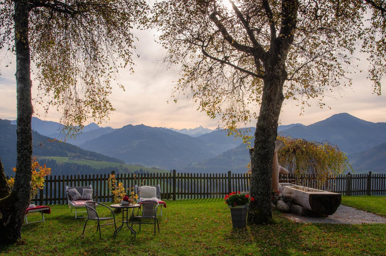 Brotzeitalm Apartment Pfarrwerfen Bagian luar foto