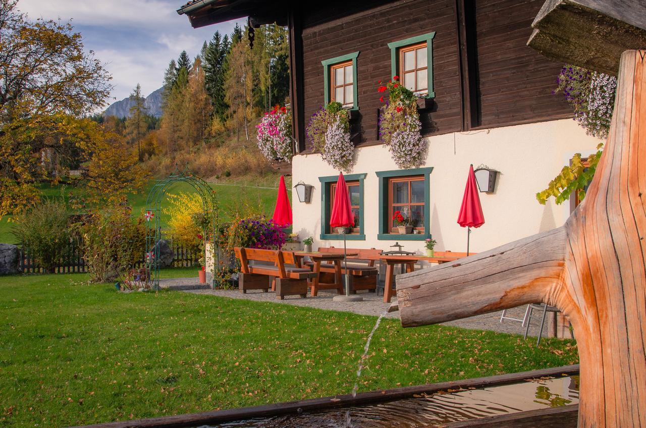 Brotzeitalm Apartment Pfarrwerfen Bagian luar foto