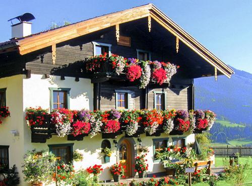 Brotzeitalm Apartment Pfarrwerfen Bagian luar foto